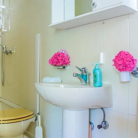 Apartment Albina *