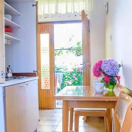 Apartman Albina Umag