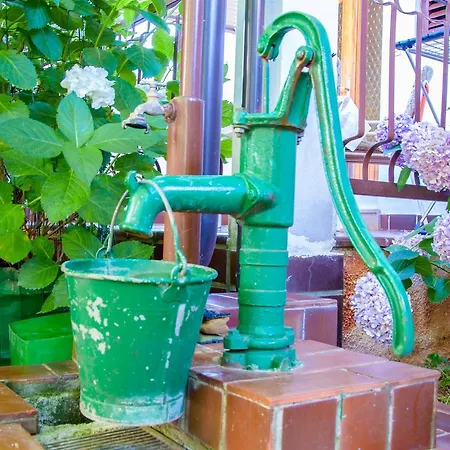 Apartament Albina Umag